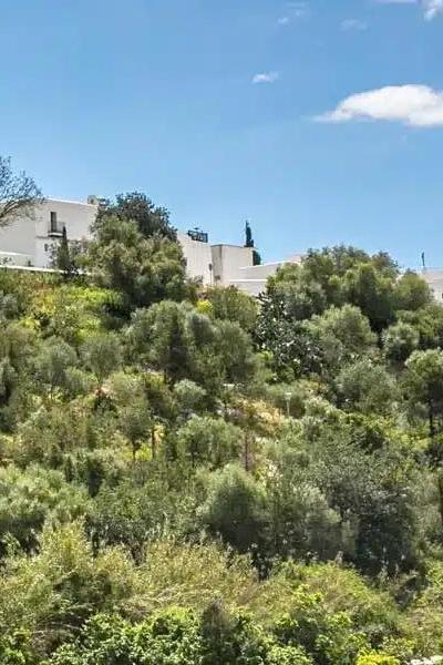 Castillo de Ibiza